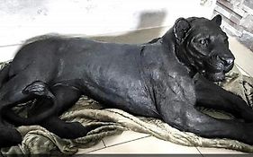 Zoologîte
