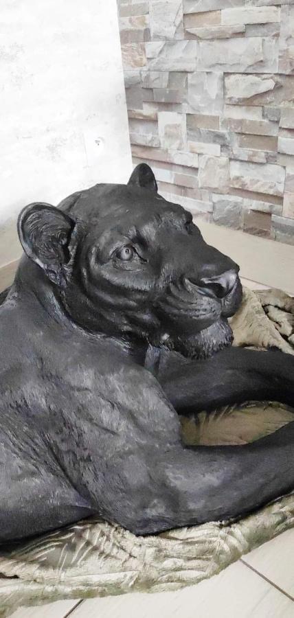 Zoologîte Saint-Aignan  Extérieur photo